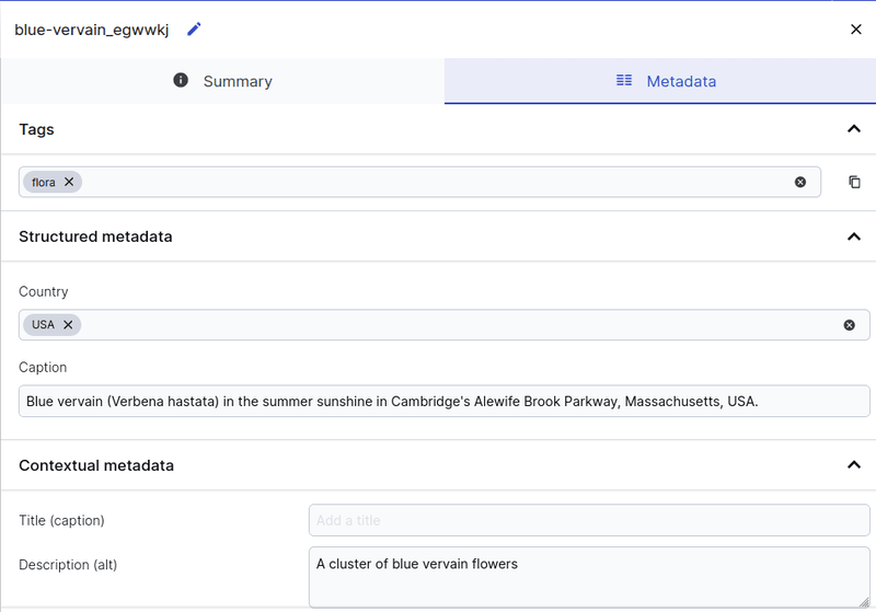 A screenshot of Cloudinary's custom metadata fields