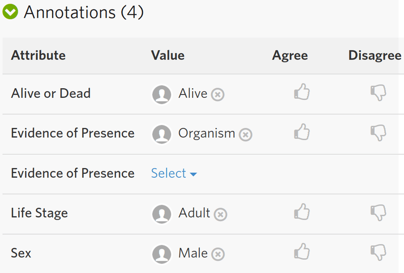 A screenshot from iNaturalist's observation page, showing the optional annotation fields available