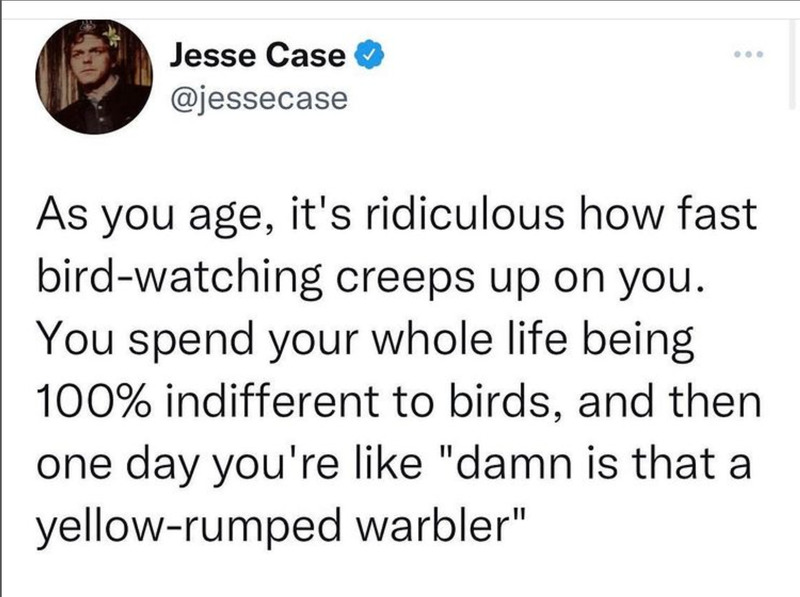 A screenshot from Twitter, cracking a joke about birdwatching